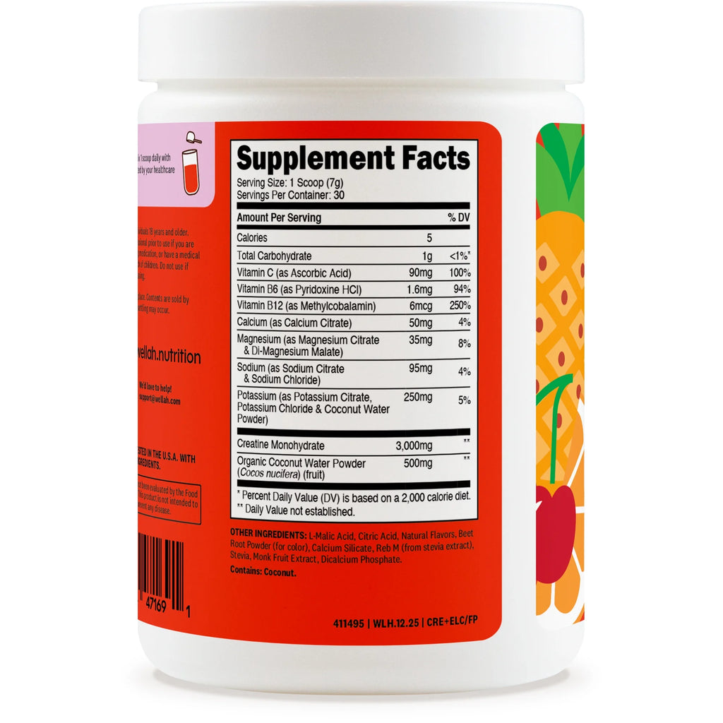 Creatine + Hydration Wellah – Energía, Rendimiento e Hidratación (Fruit Punch, 30 servings)