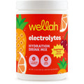 Electrolytes Wellah – Hidratación y Rendimiento (Fruit Punch, 50 servings)