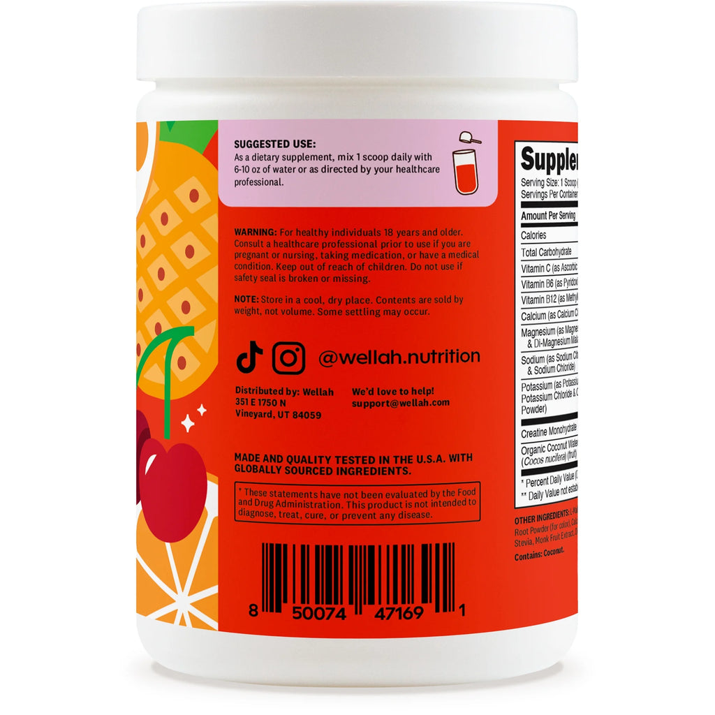 Creatine + Hydration Wellah – Energía, Rendimiento e Hidratación (Fruit Punch, 30 servings)